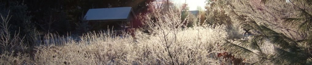 Frost in St. Charles